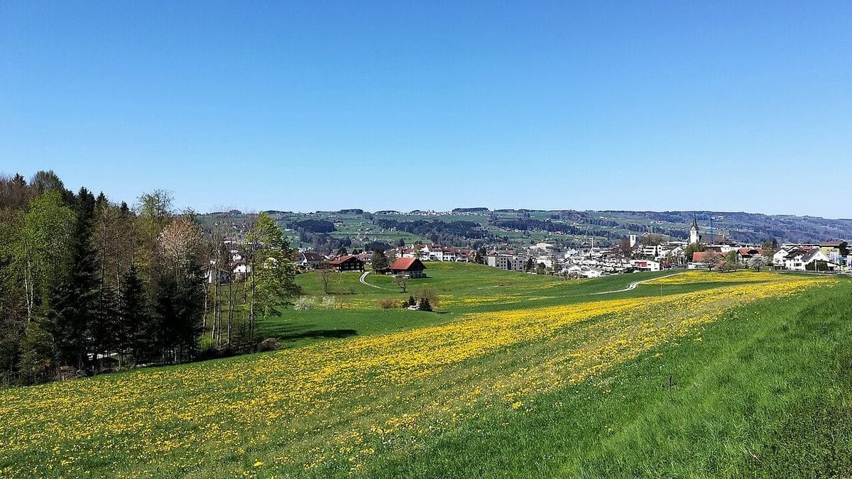 Symbolbild zum Thema leben hochdorf familienfreundlich wohnen seetal