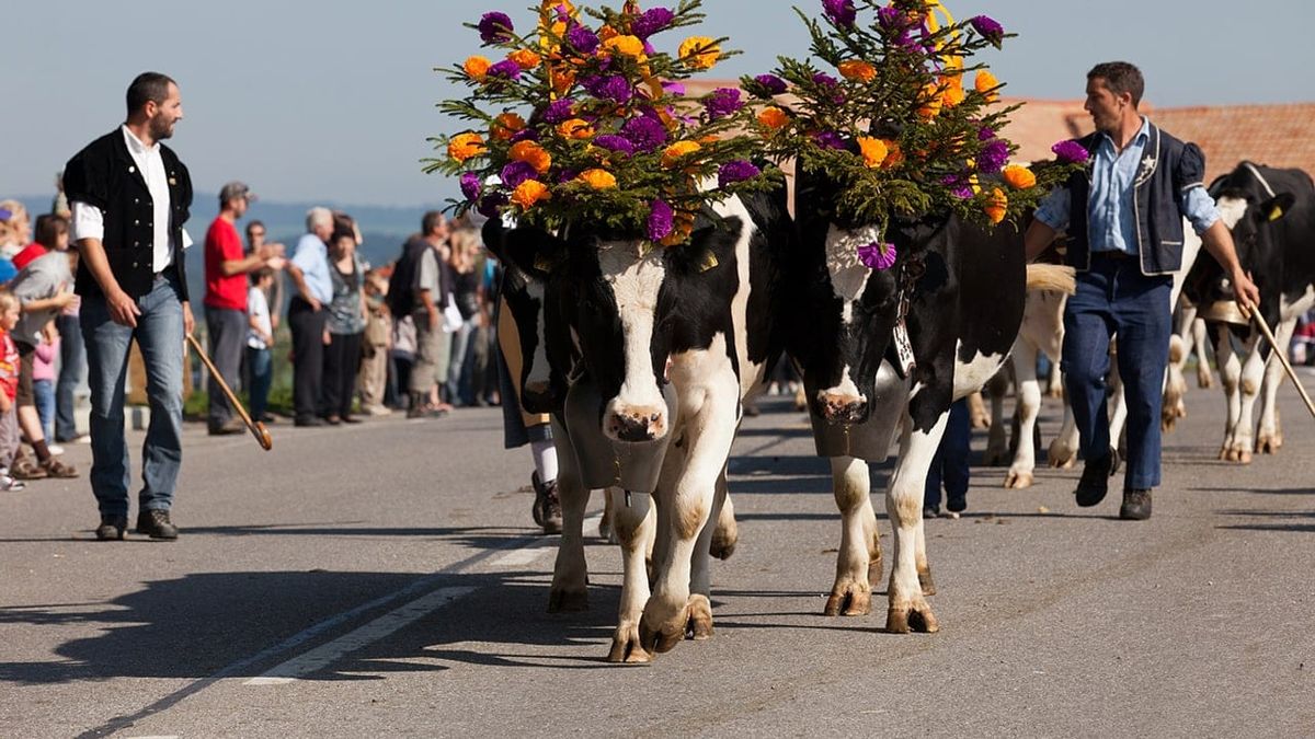 Symbolbild zum Thema bekanntesten schweizer traditionen erklaert