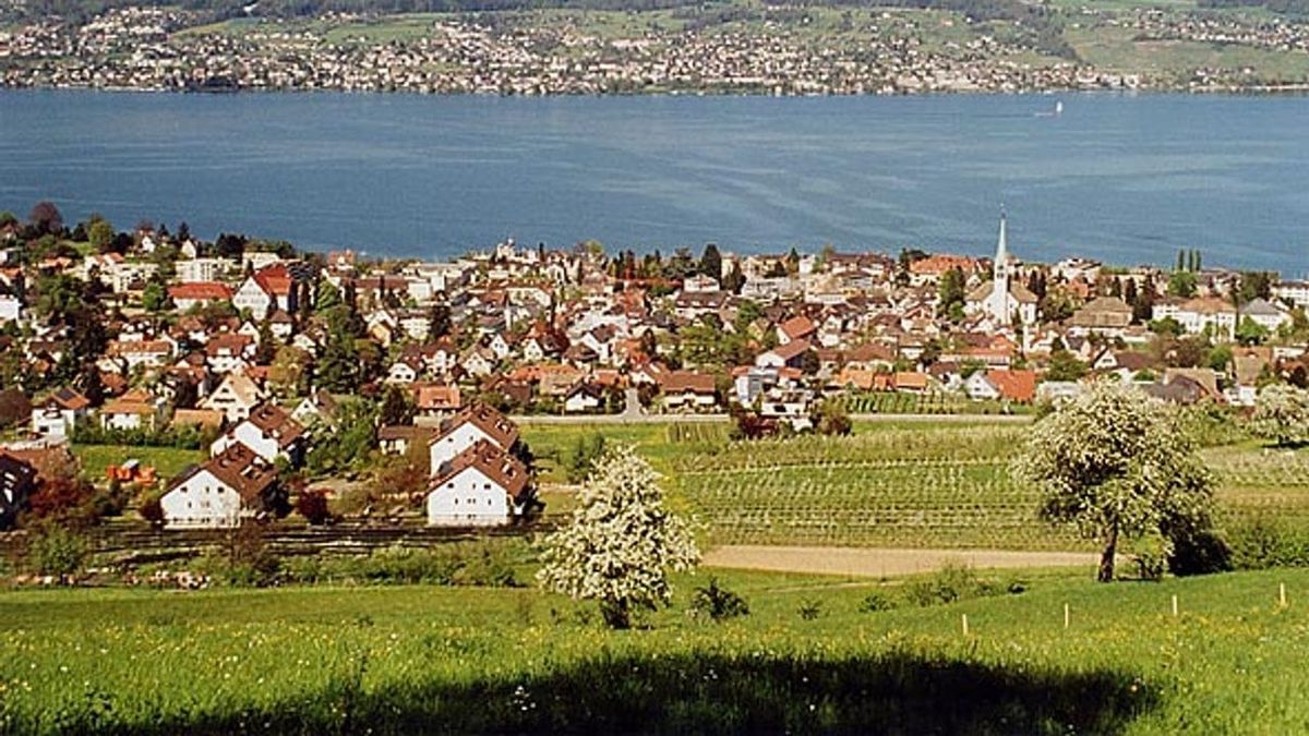 Symbolbild zum Thema leben waedenswil zwischen weinbergen see