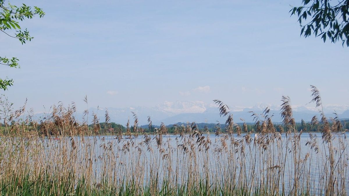 Symbolbild zum Thema leben greifensee idyllischen