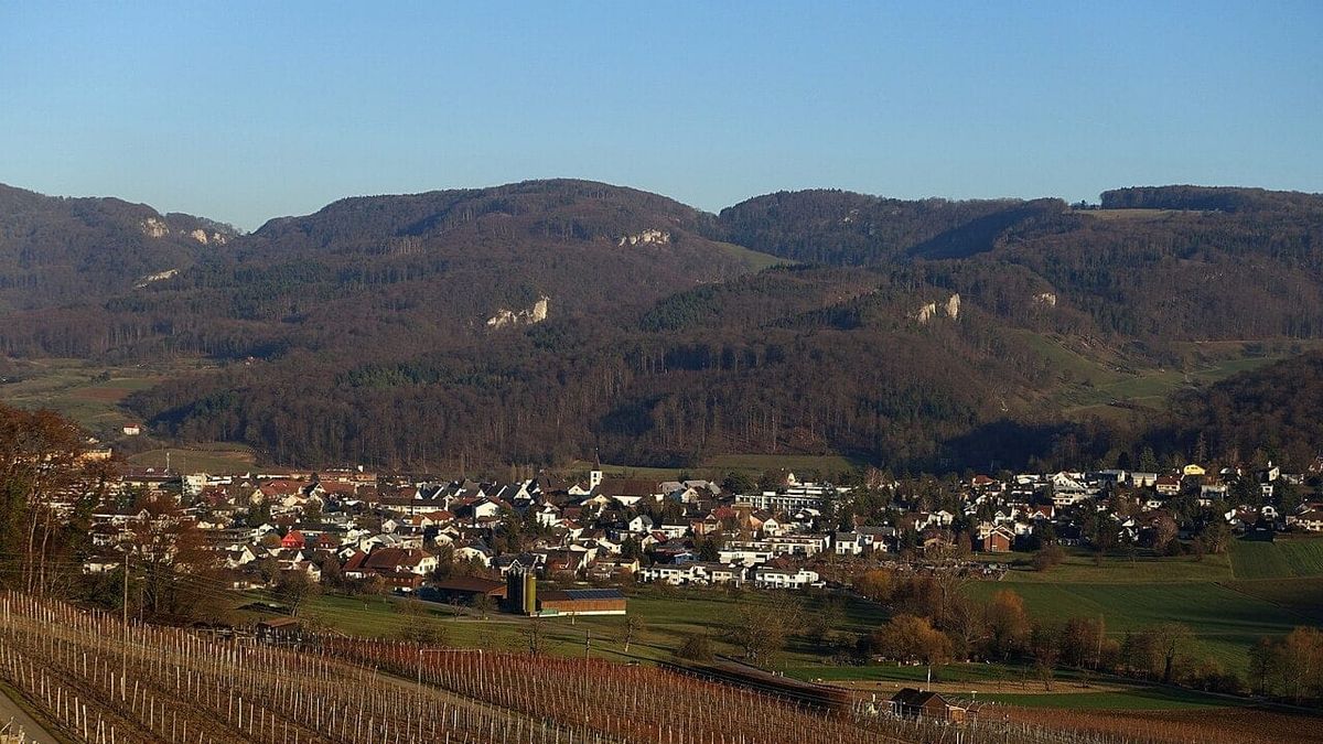 Symbolbild zum Thema leben aesch zwischen weinbergen wirtschaftszentrum