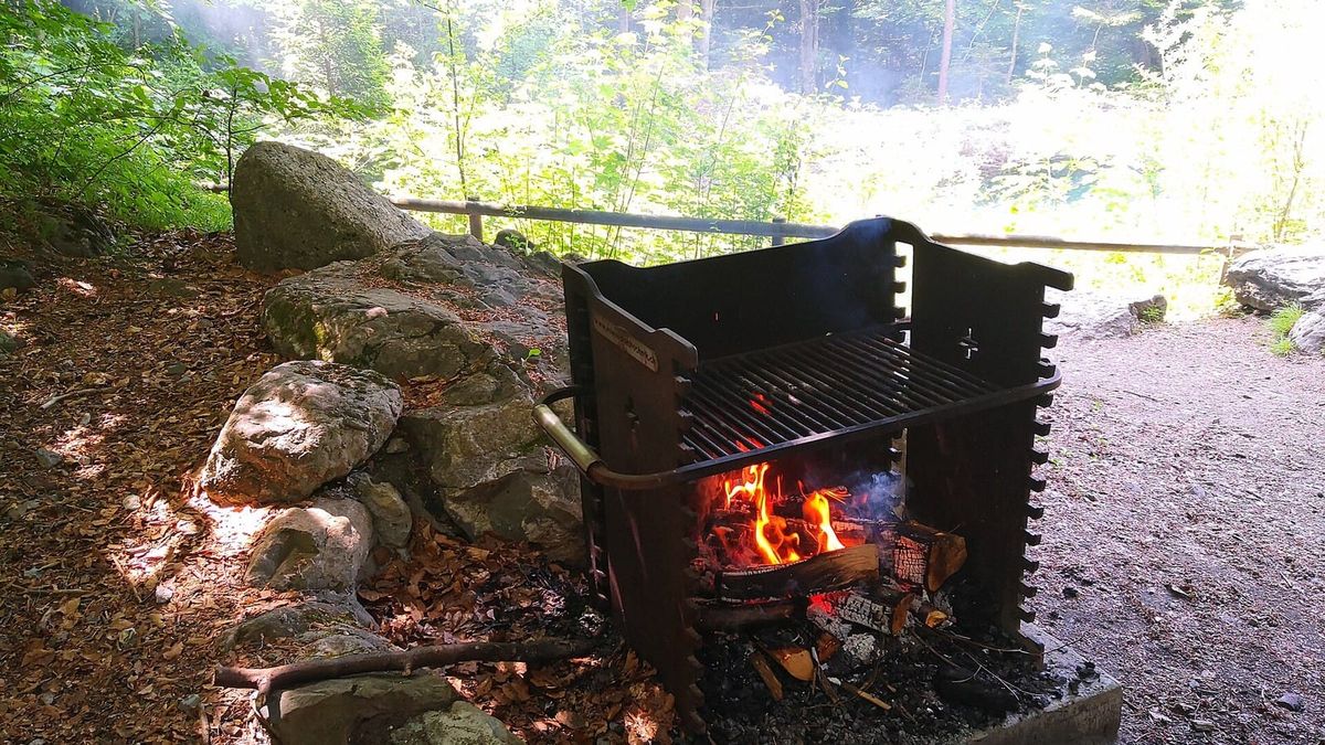 Feuer in einem festen Grill an einer Schweizer Waldfeuerstelle