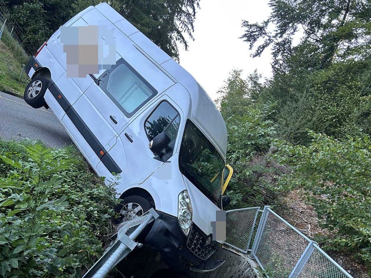 Demolierter Lieferwagen nach Selbstunfall.