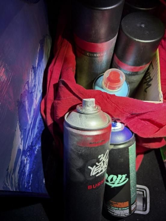 Aus PW sichergestellte Spraydosen