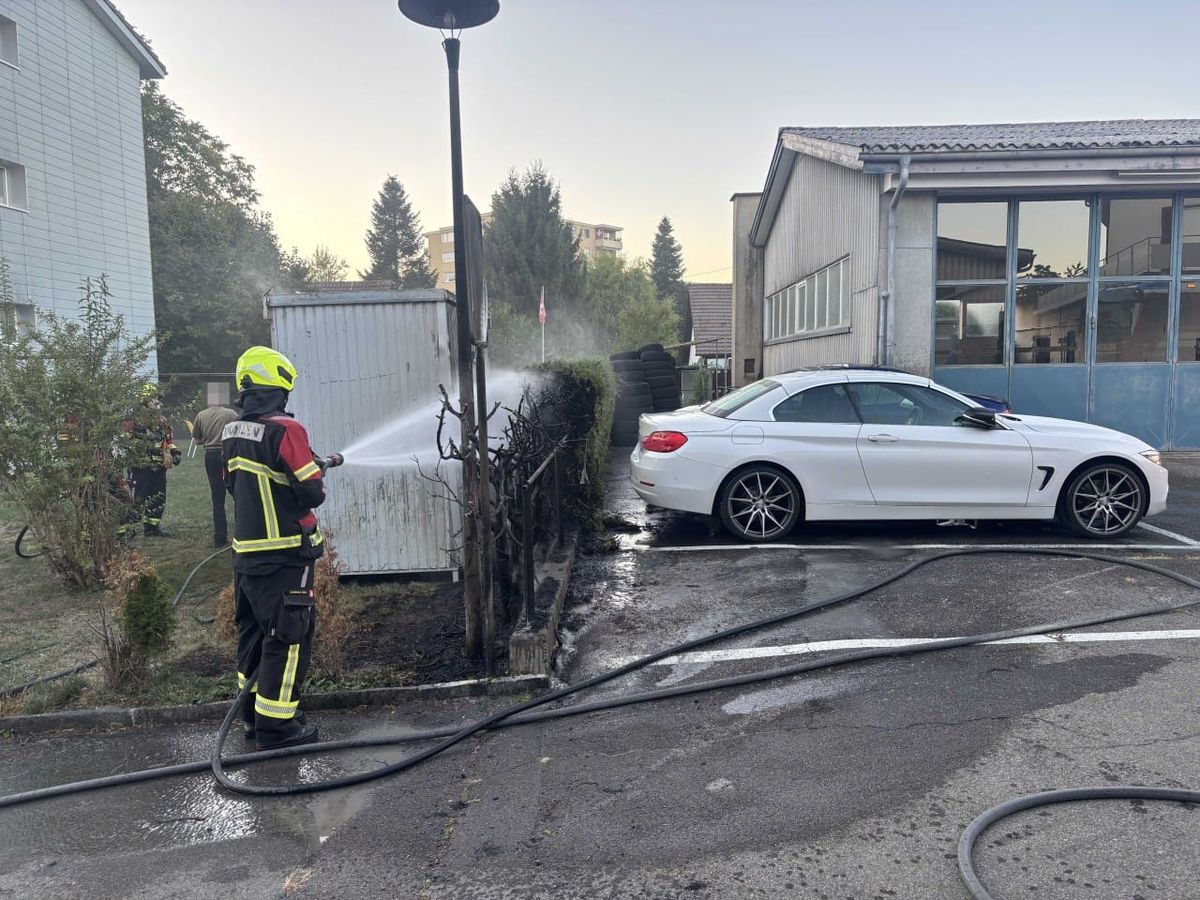 Heckenbrand Wohlen.