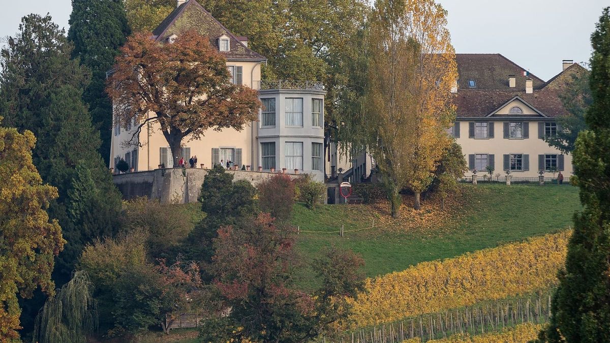 Schloss Arenenberg in Salenstein über einem herbstlichen Weinberg