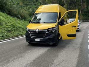 Lieferwagen entwendet und Verkehrsunfall verursacht