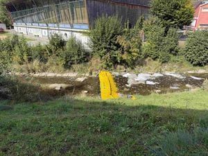 Tote Fische im Bühler Rotbach
