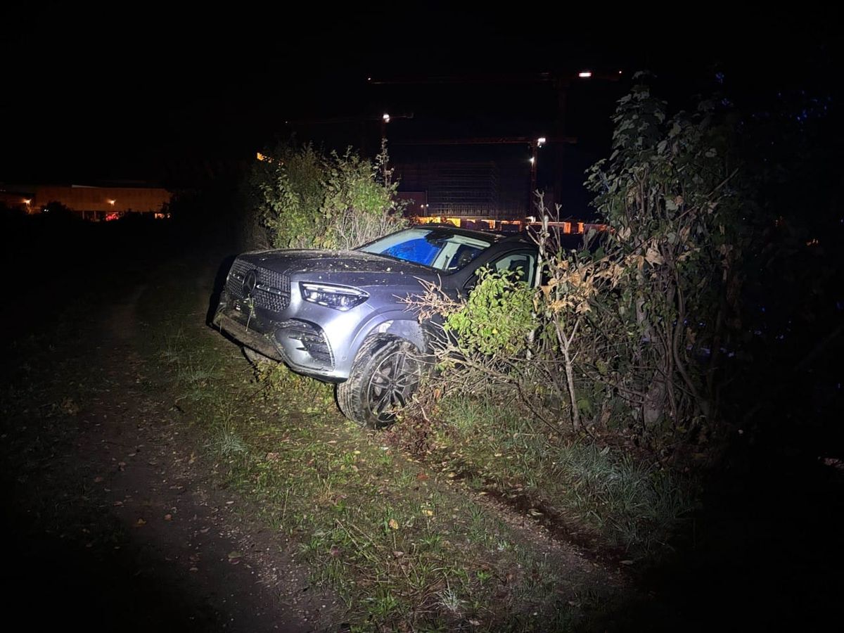 Unfallwagen im Gebüsch.