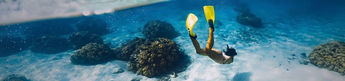 Schnorchlerin mit gelben Flossen über einem Korallenriff