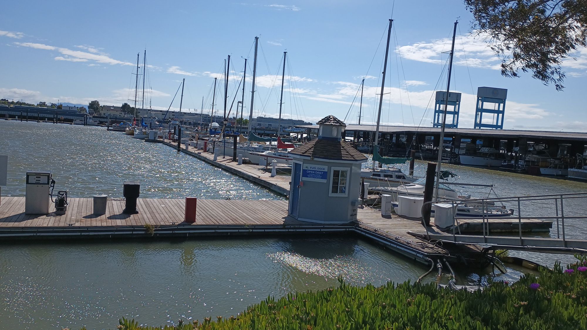 Vallejo's municipal marina fuel dock is inaccessible at low tide. 