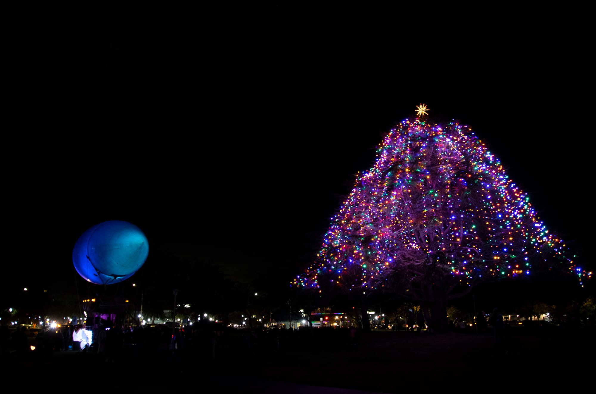 A decorative tree inn Martin Luther King Jr. Park next to the "Airpusher" art car.