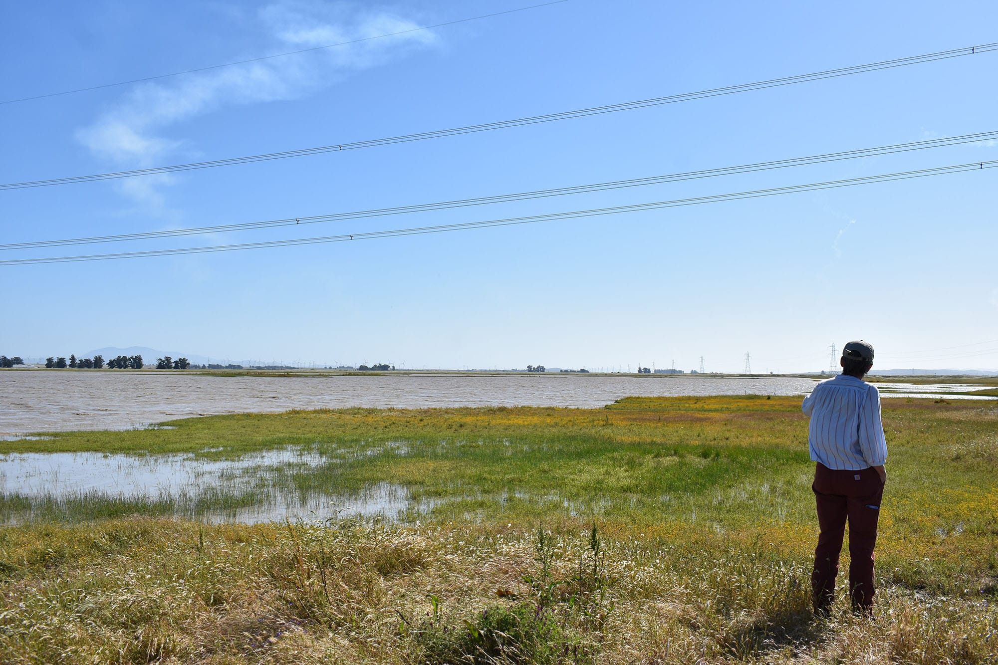 California Forever project could threaten sensitive Solano County habitat, environmentalists say