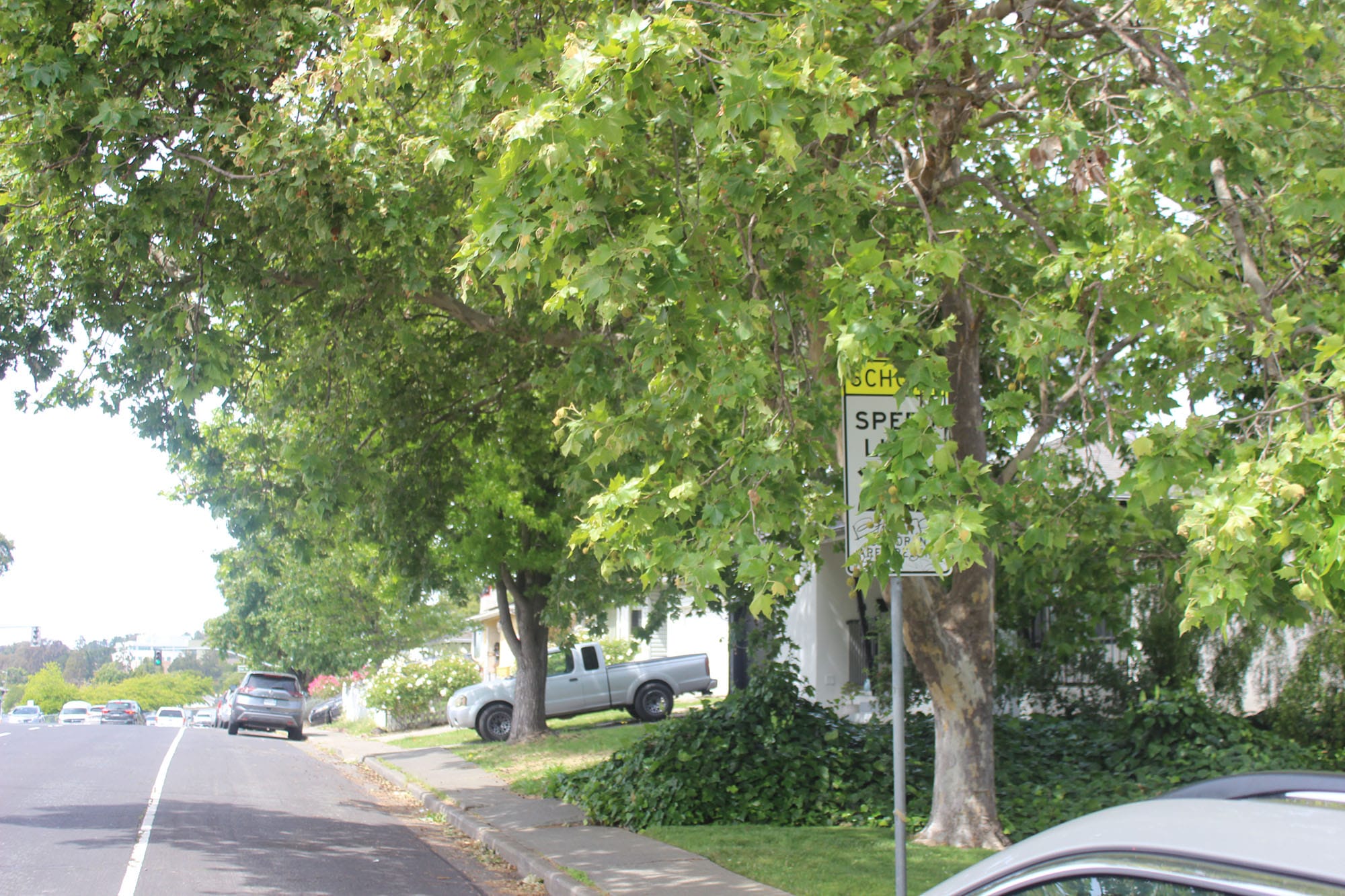 An obscured speed limit sign near Cooper Elementary School.