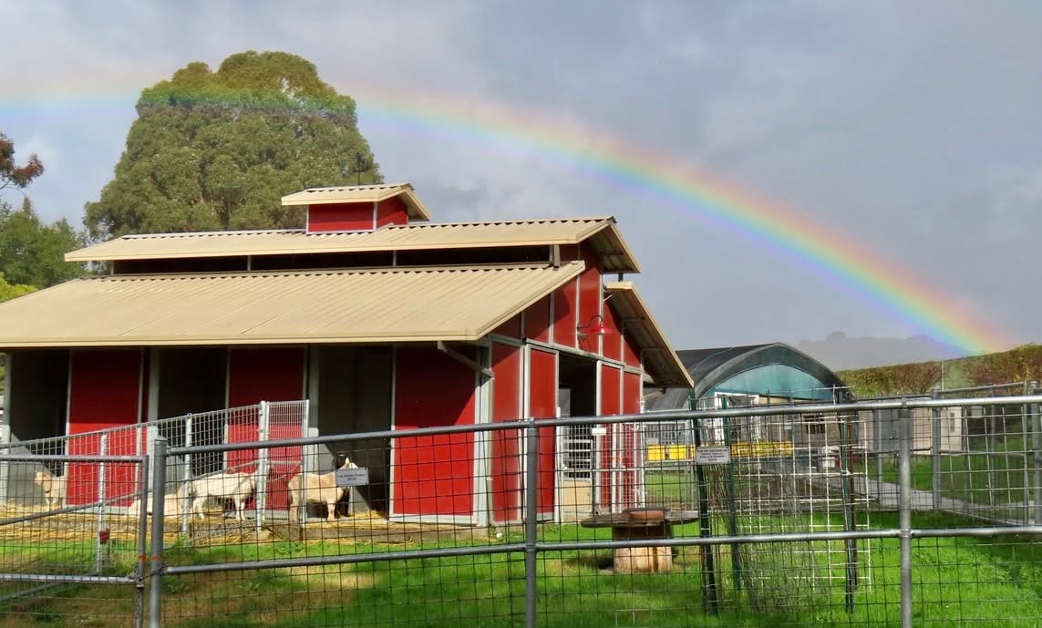 Upcoming Vallejo Events — Loma Vista Farm Harvest Festival