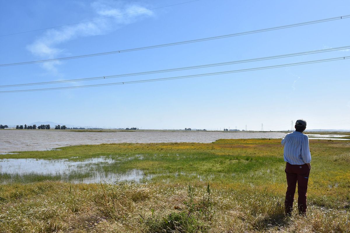 California Forever project could threaten sensitive Solano County habitat, environmentalists say