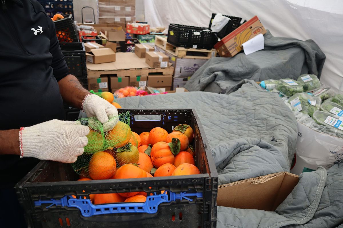 Solano County sees first wave of CalFresh cancellations due to new federal work requirements
