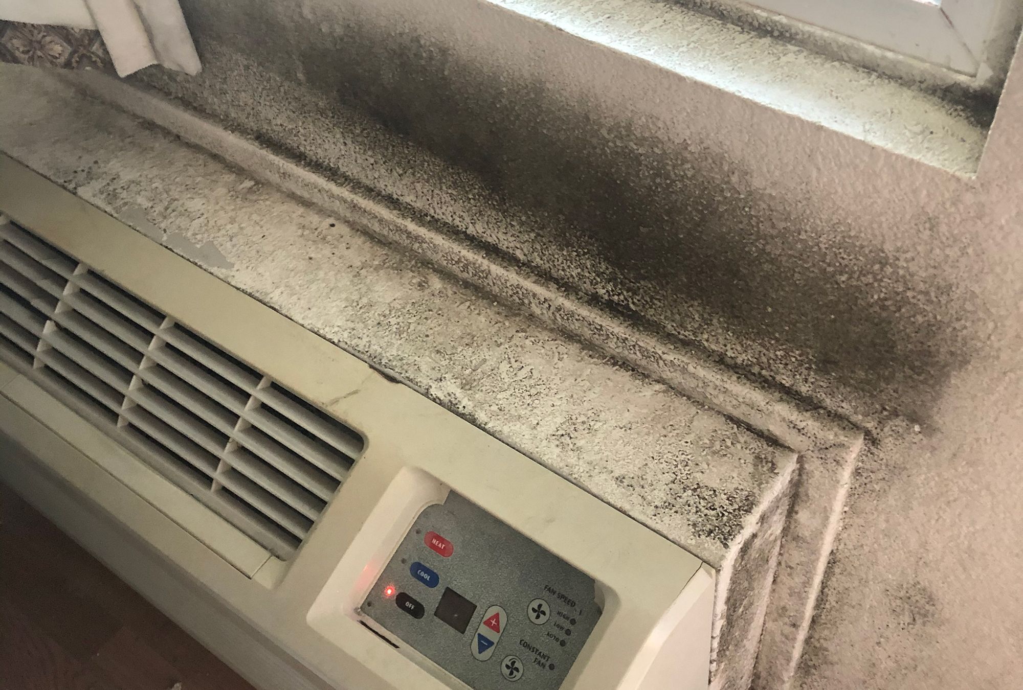 Vallejo ignored warnings about conditions in Project RoomKey, emails show