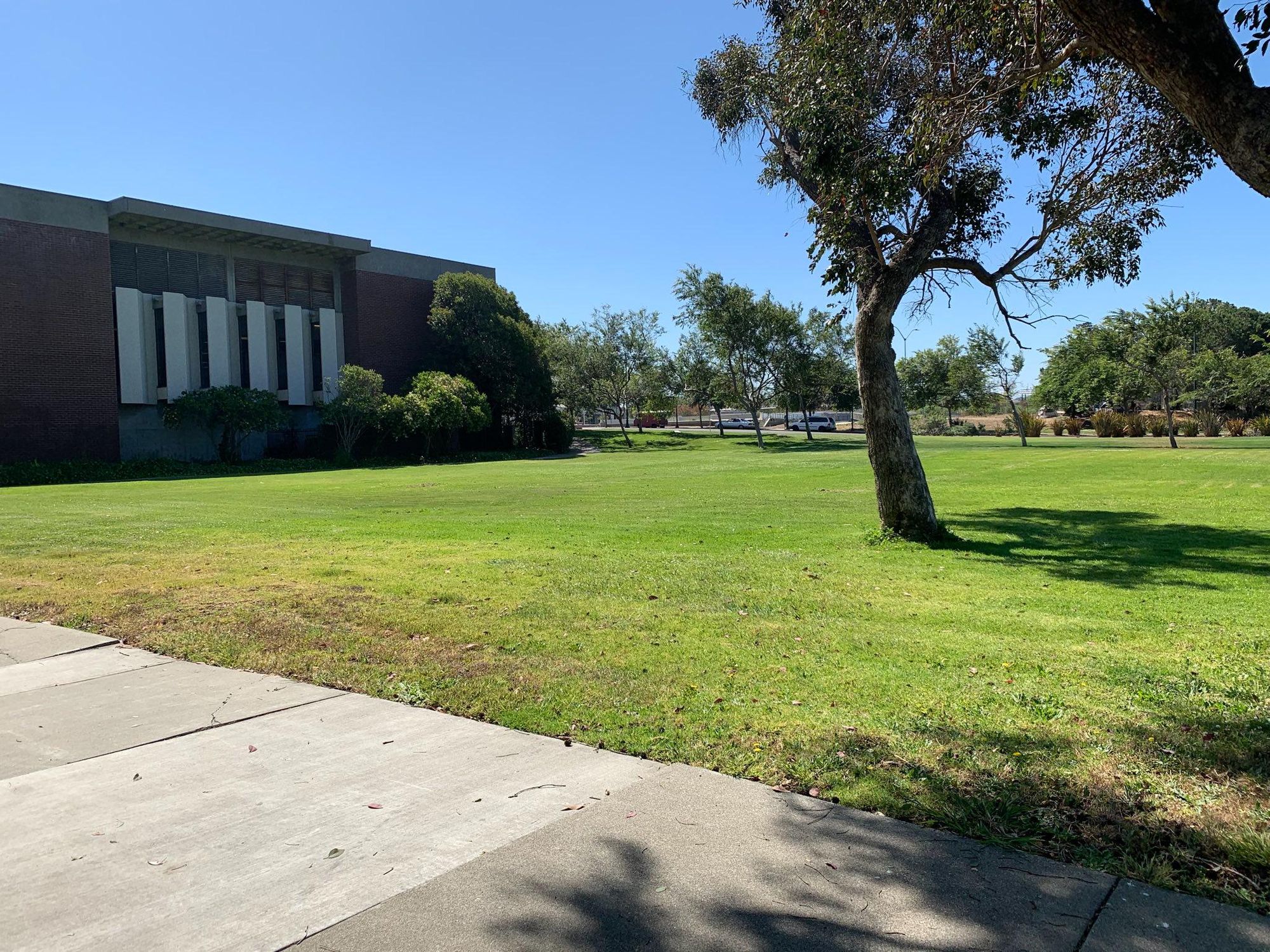 Vallejo council to consider renaming park in honor of MLK, get first look at budget