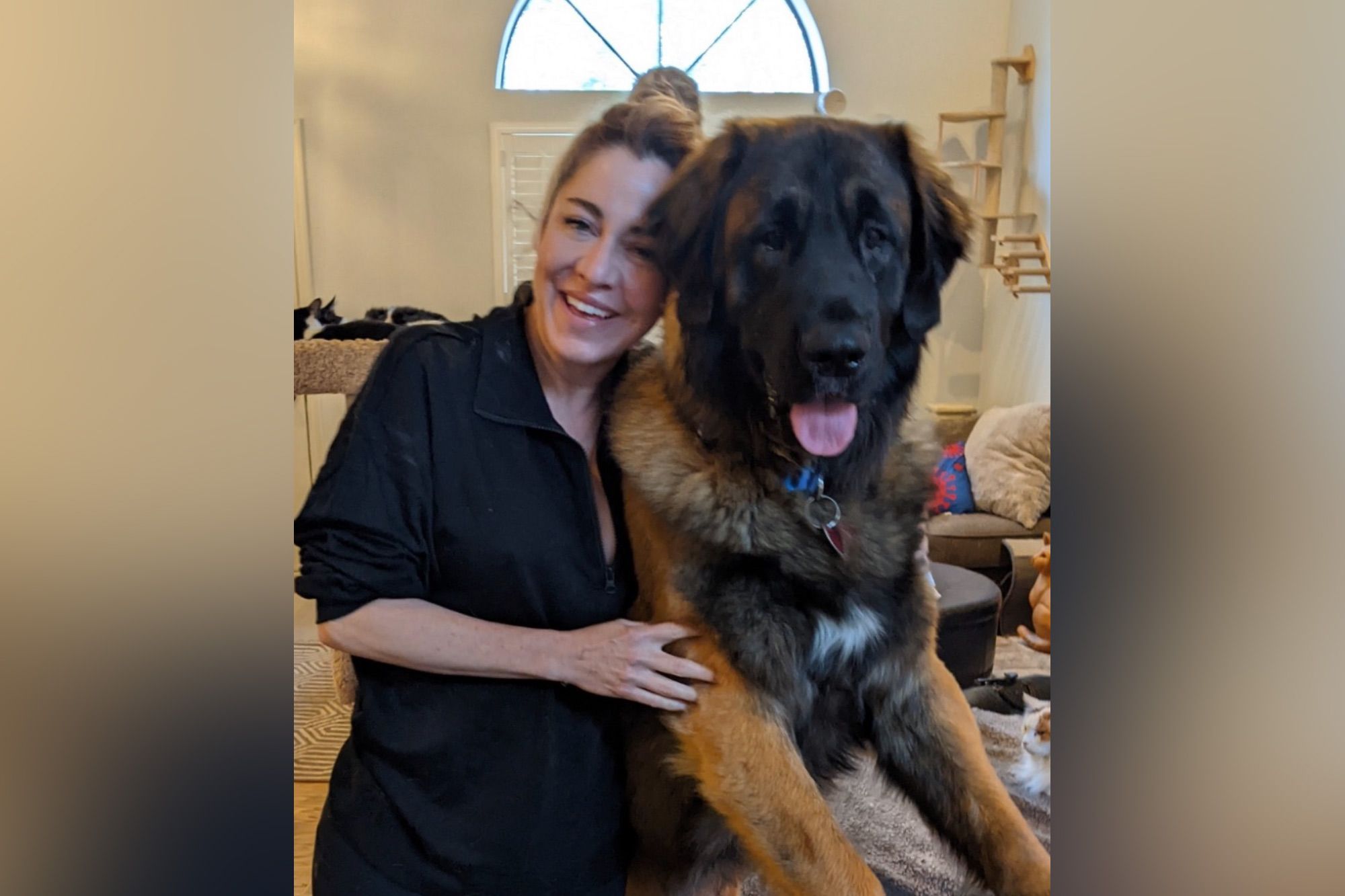 Vallejo veterinarian leaving town after assault and police non-response