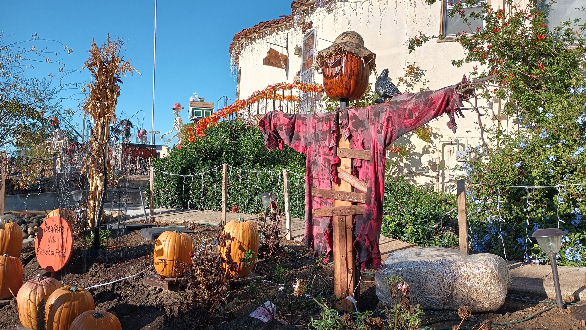 Vallejo Halloween Happenings