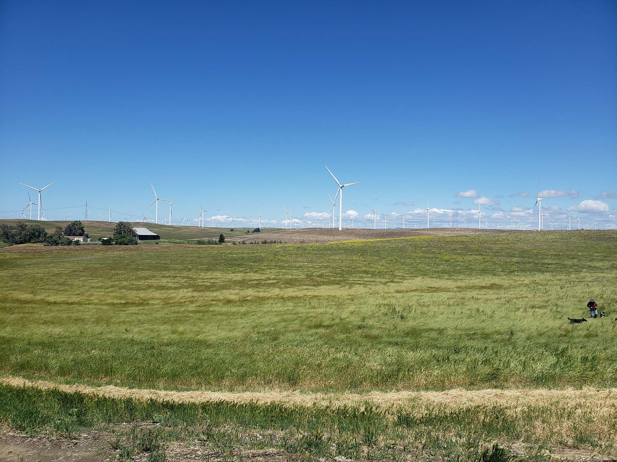 California Forever withdraws initiative after report projects taxpayer burden, environmental concerns