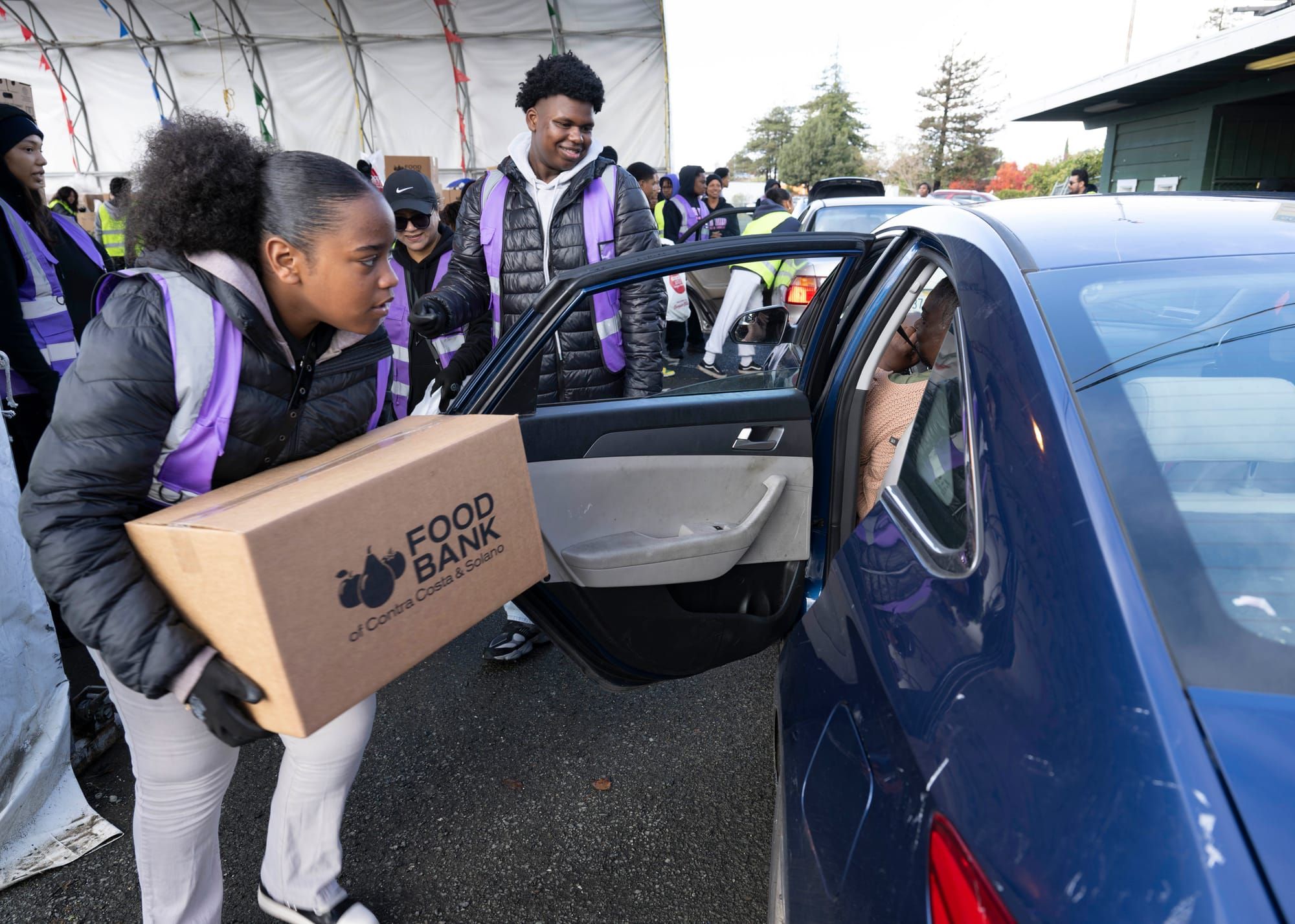 Upcoming Vallejo Events — Turkeys, Turkeys Everywhere