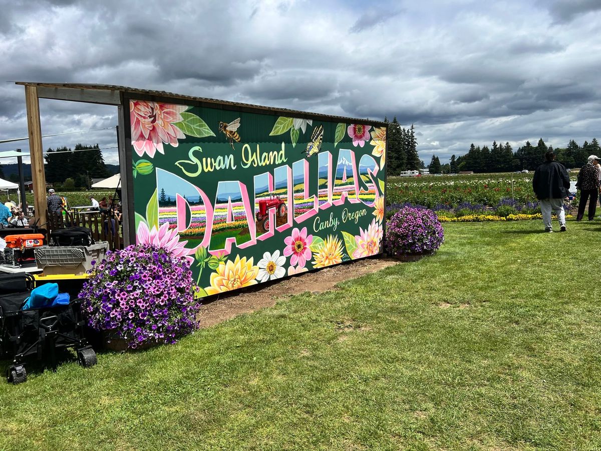 Annual Dahlia Festival Returns at Swan Island Dahlias