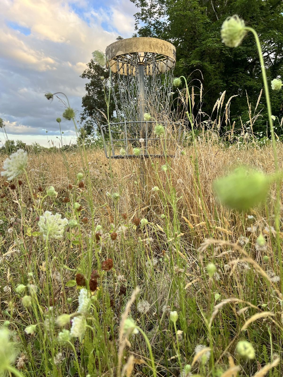 North Eco Park Disc Golf Course Faces Uncertain Future