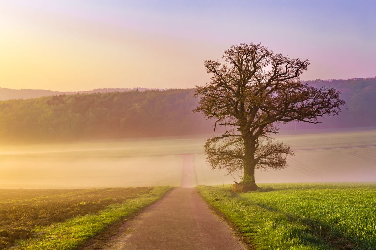 Canby resident teaches grief relief classes offering path toward healing, hope