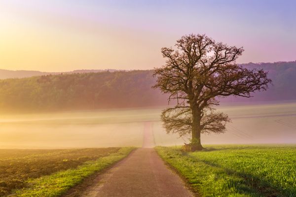 Canby resident teaches grief relief classes offering path toward healing, hope