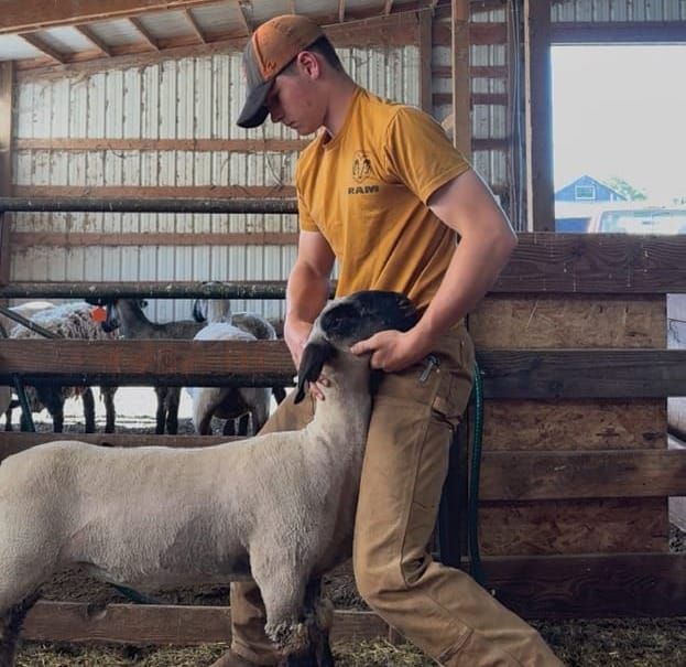 Calling All Buyers!: Clackamas County Junior Livestock Auction