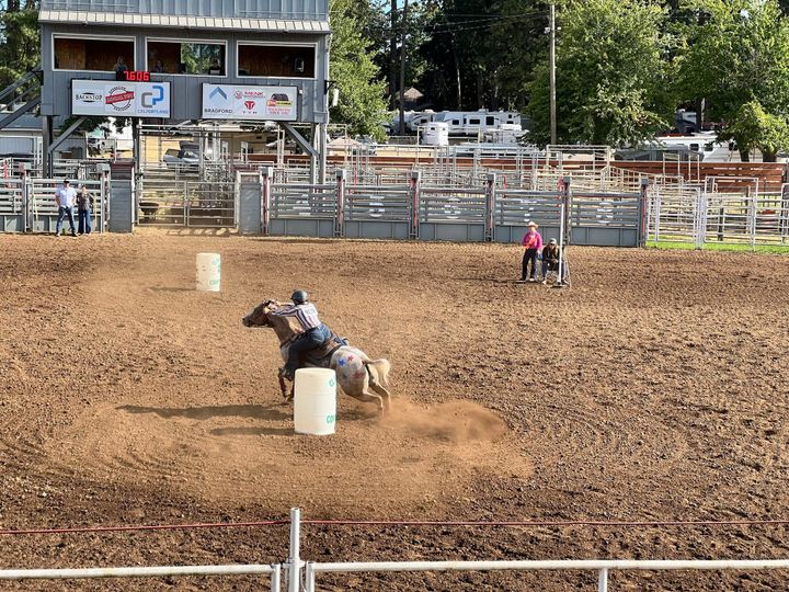 Clackamas County 4-H Horse Fair showcases horsemanship, sportsmanship, and community