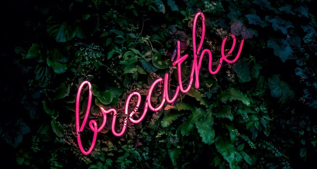 Nasenpflaster: Ist der Hype gerechtfertigt?