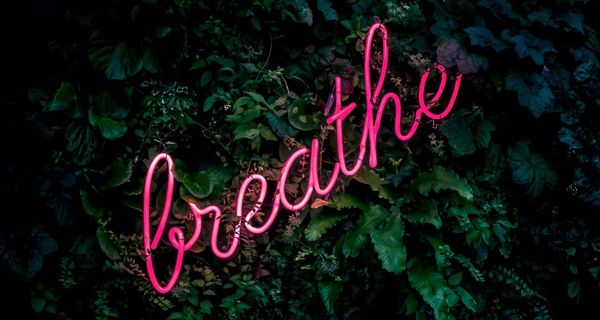 Nasenpflaster: Ist der Hype gerechtfertigt?