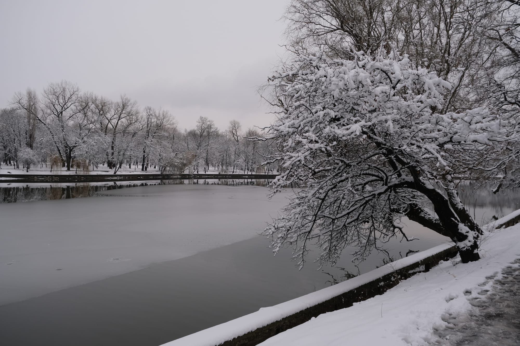 Snowy Park Walk