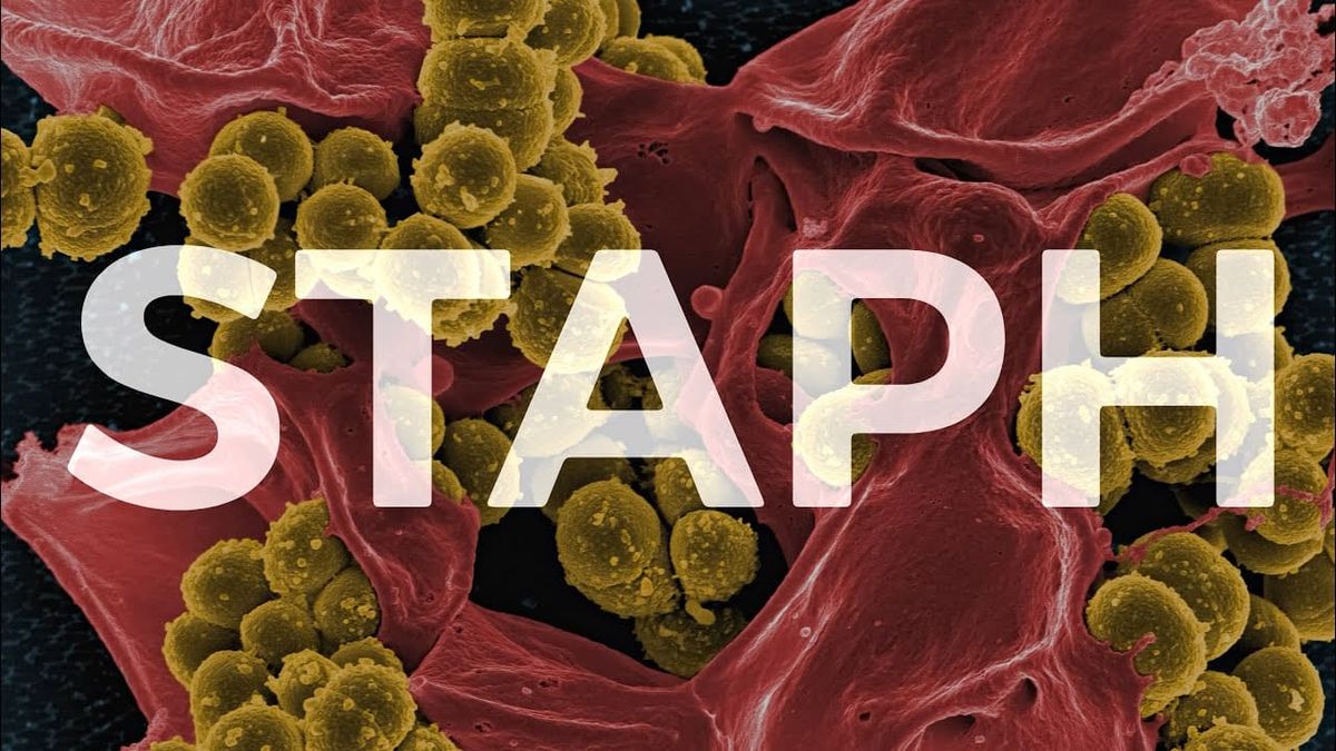 🦠 Why MRSA is so dangerous for grapplers