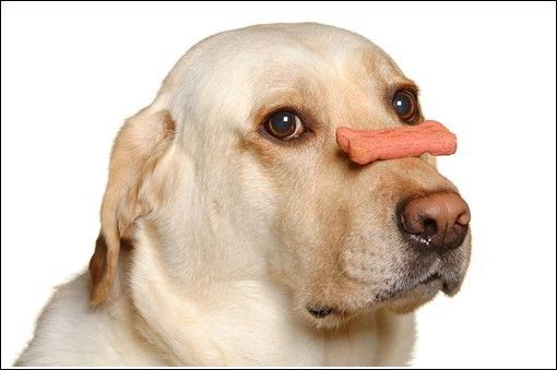 Auto-control y tranquilidad cuando se invierte sin errores  | El Fintualist