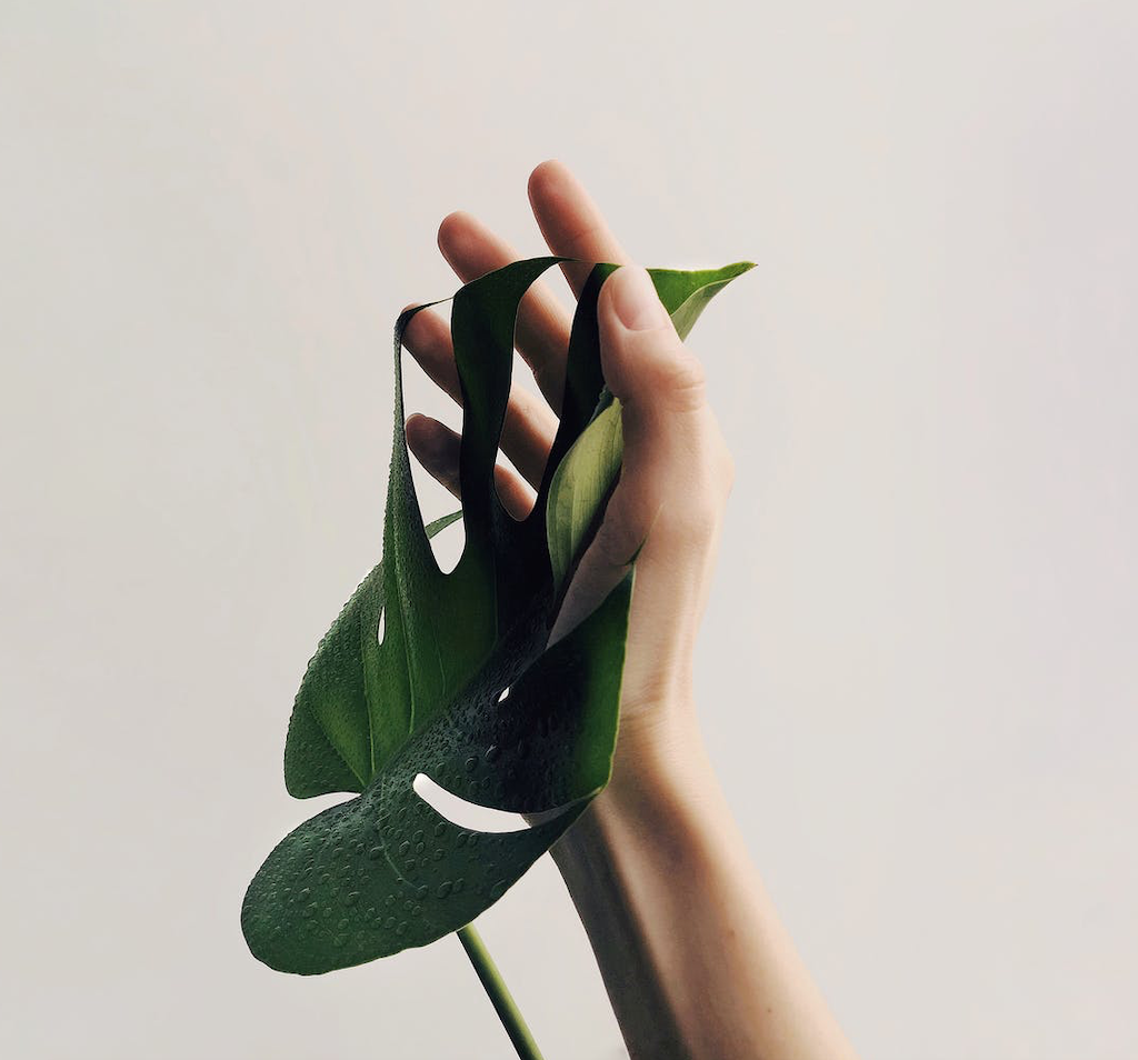 Para mejorar los niveles de CO2 se necesita mucho más que un lockdown global