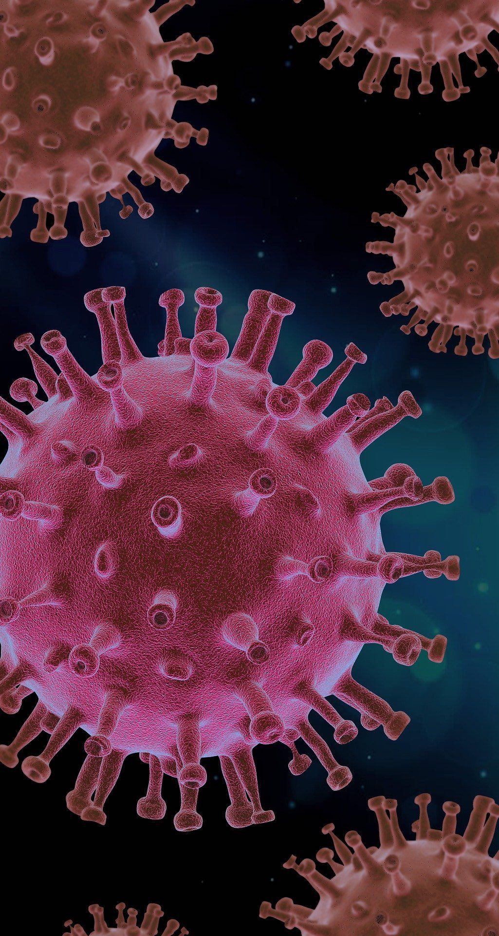 ¿Qué es más seguro, vacunarse o no vacunarse?: preguntas y respuestas sobre la vacuna del Covid-19