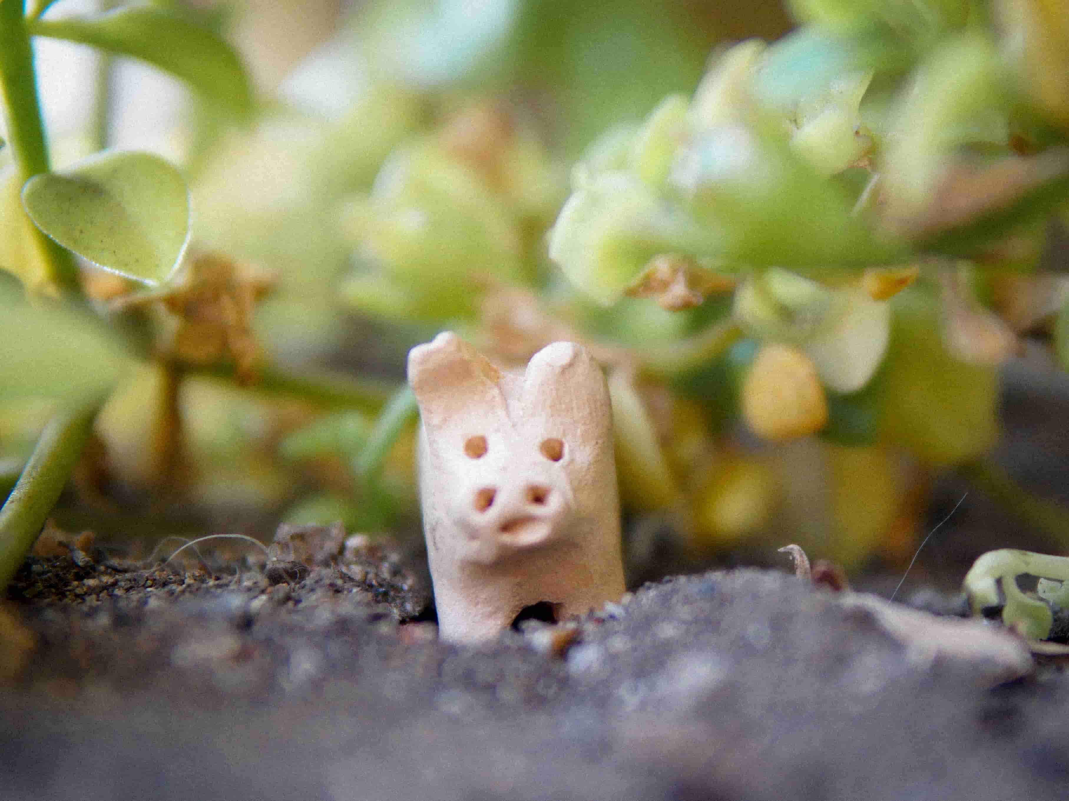 Govcoins: ¿un adiós a las monedas?