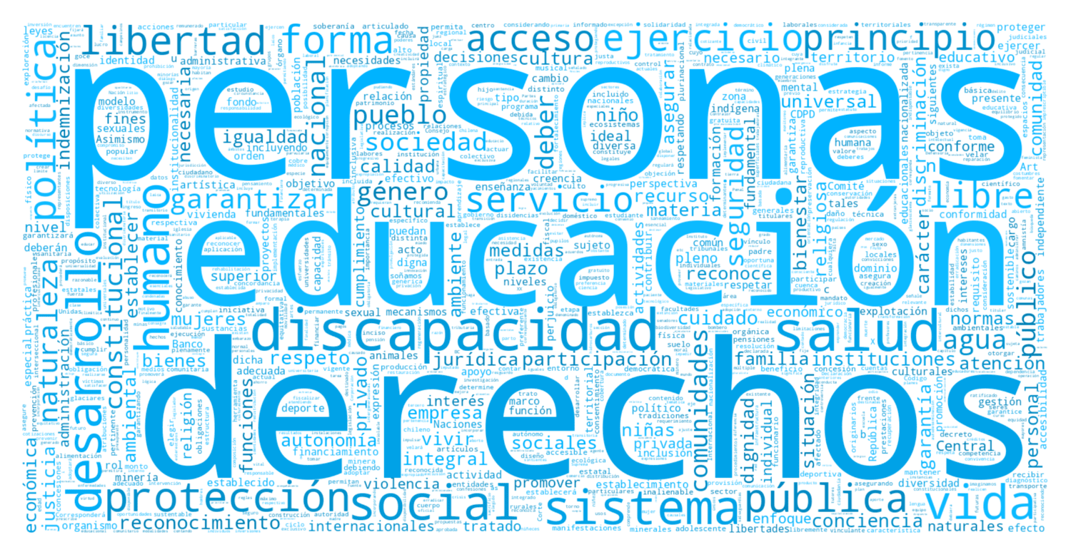 Las palabras más usadas en la Convención Constituyente