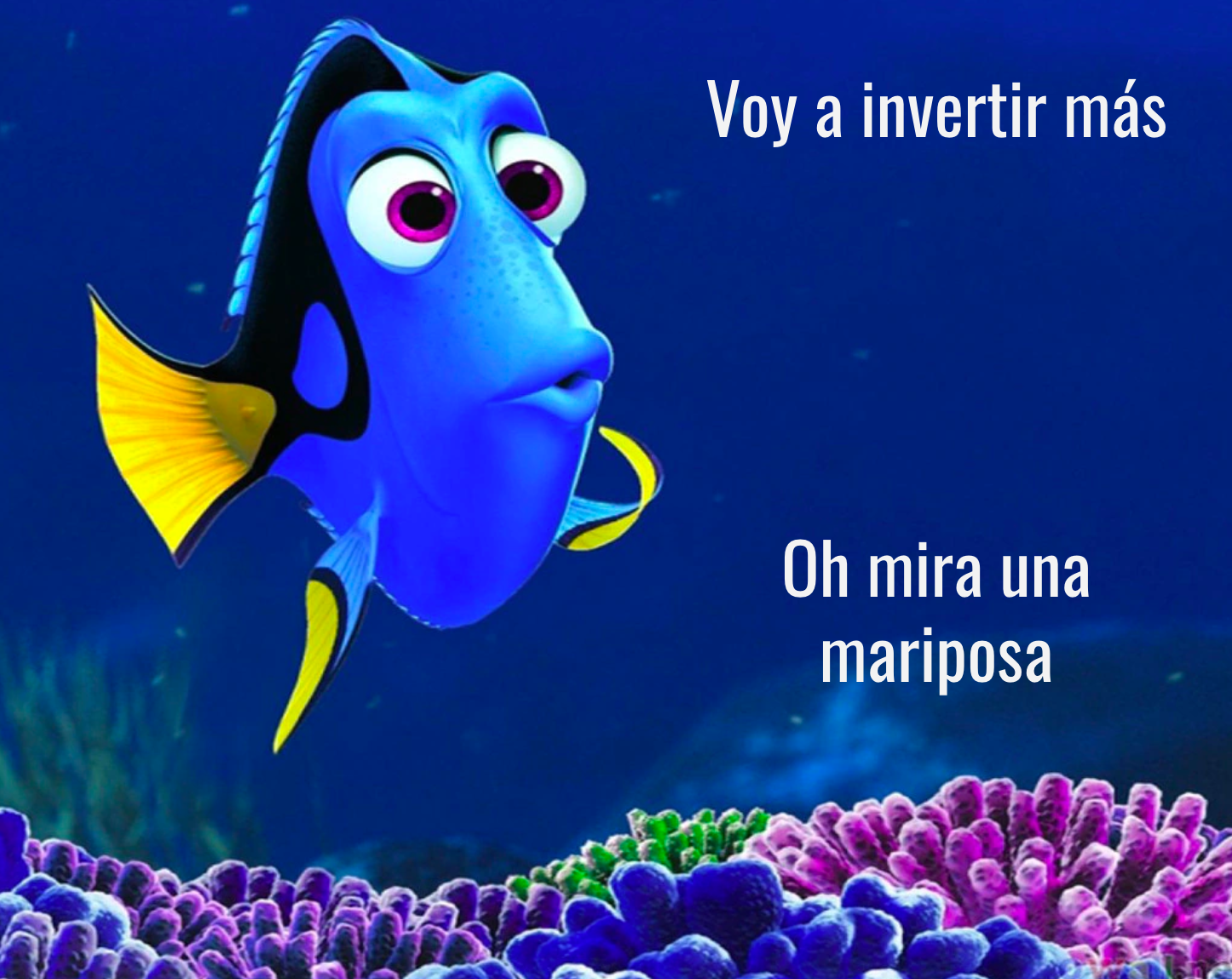 dory