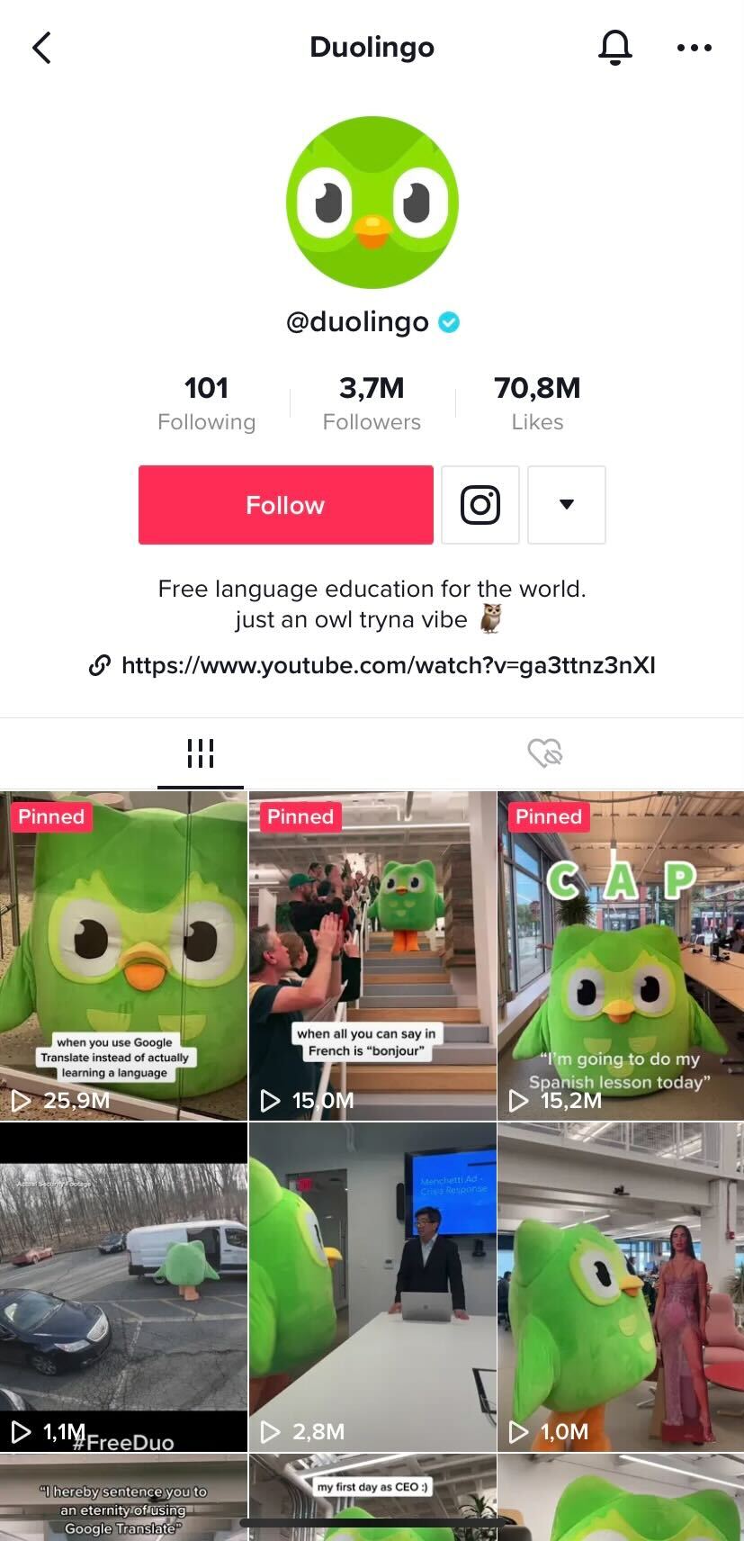TikTok Duolingo