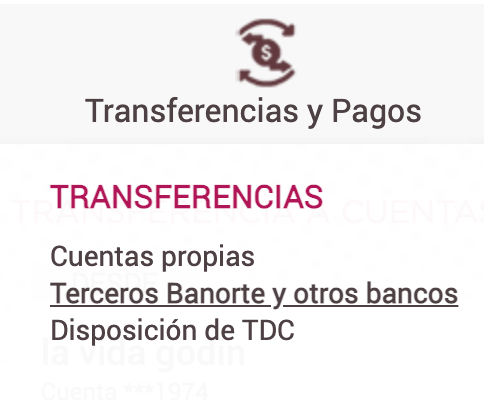 Transferencias y Pagos
