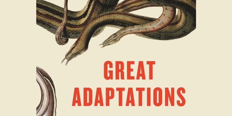 Topos, anguilas y avispas: cómo hacer neurociencia arriesgada