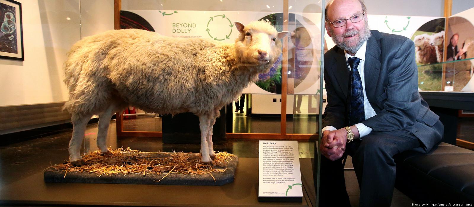 ChatGPT y otros inventos resistidos que cambiaron el mundo