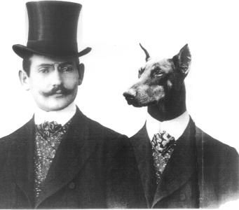 Pobres en el castillo