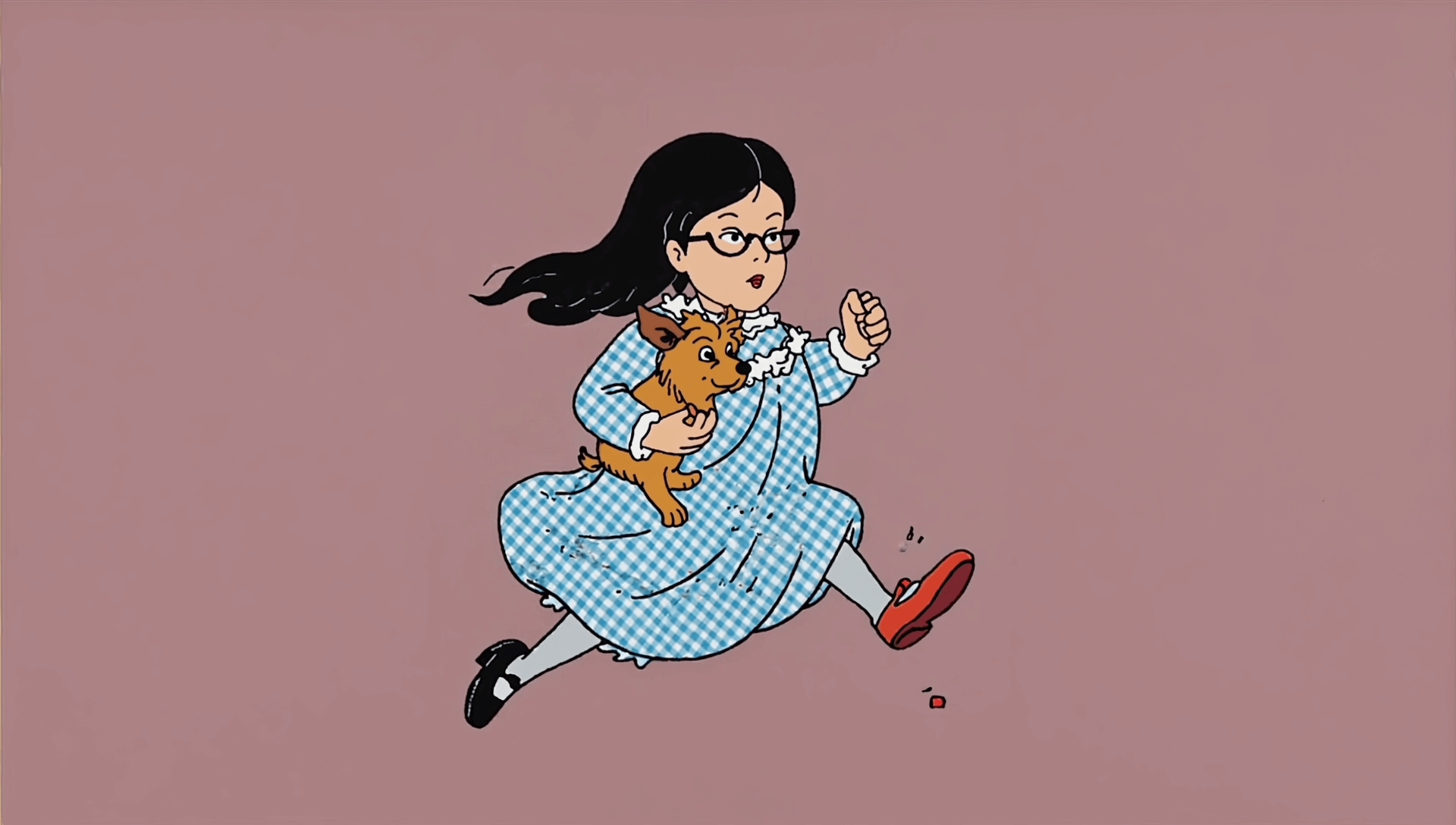 Dorothy Pérez, Oz y  el camino de ladrillos a la contraloría