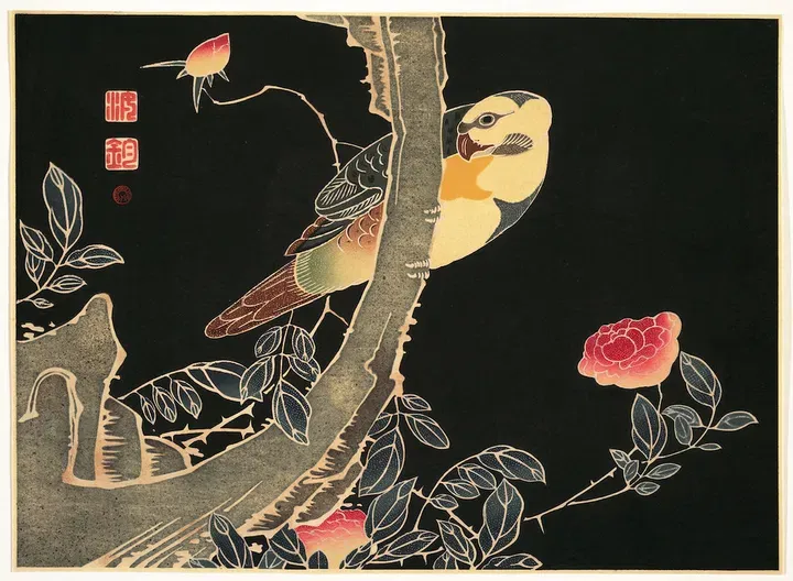 El artista de la semana | Itō Jakuchū